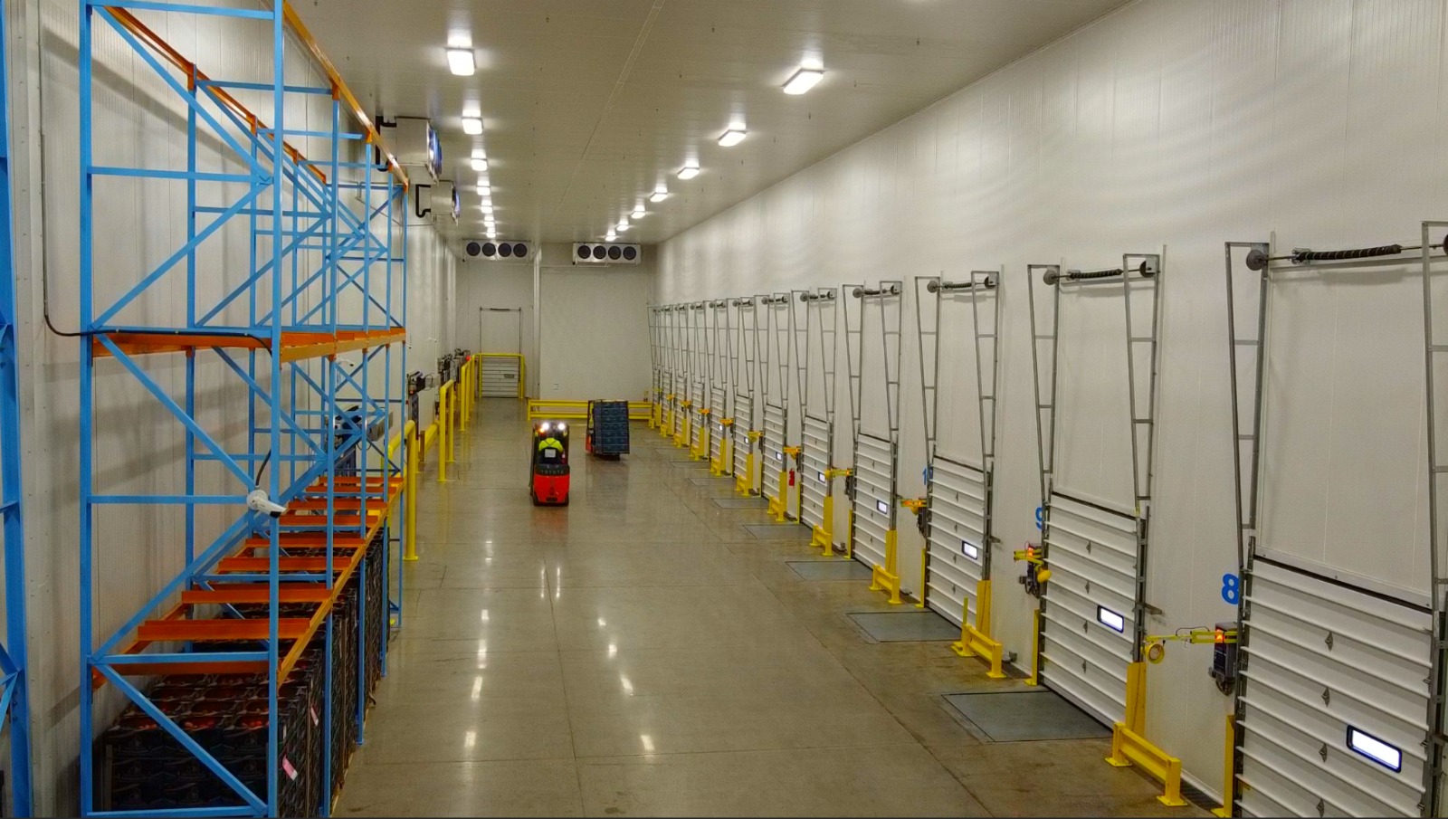 Wide view of cold room doors and storage racks