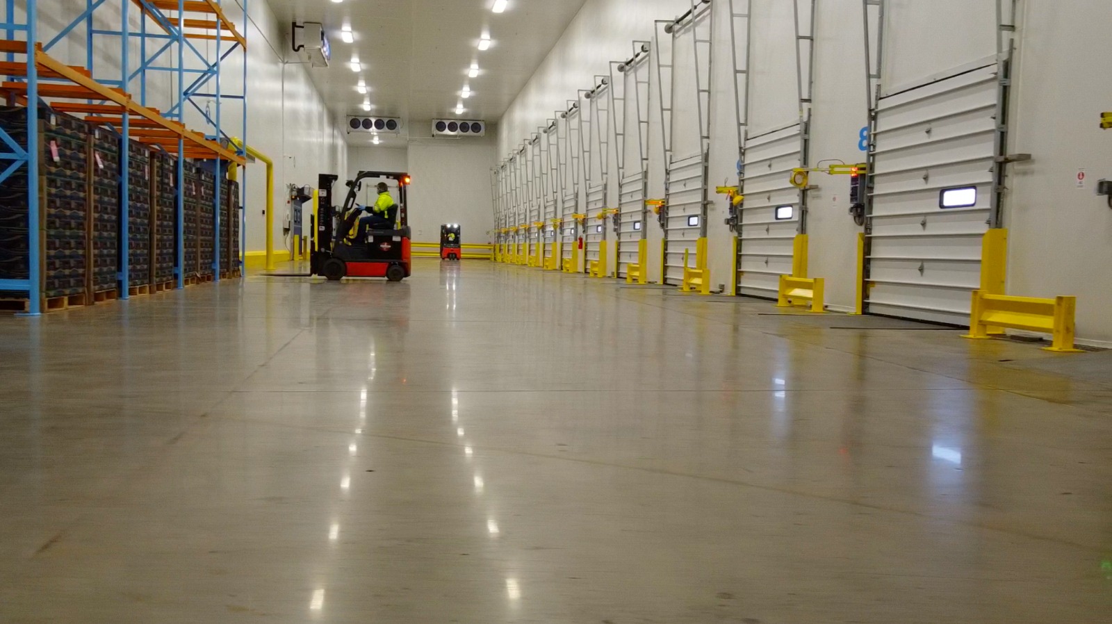 Forklift operating inside the cold storage loading area