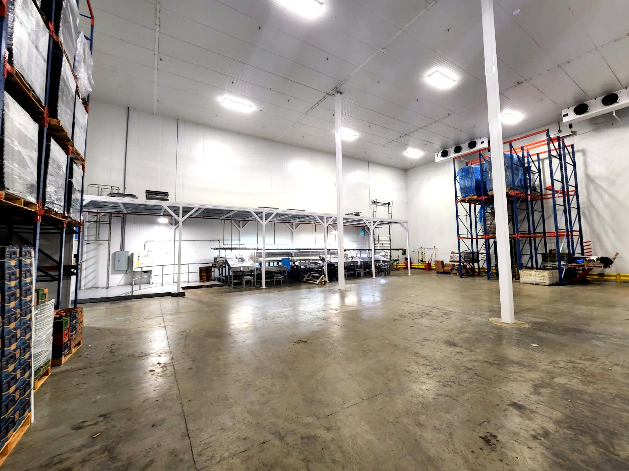Professional repack room with clean inspection and staging area